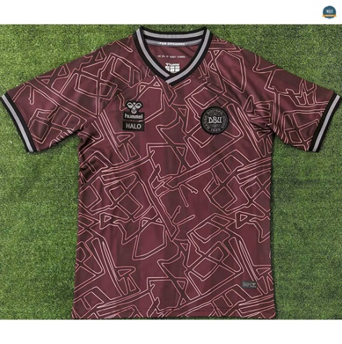 Max Maillot Danemark Édition spéciale 2024/25